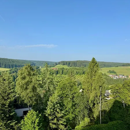 Appartement Moderne Loft Im Schwarzwald Mit Pool Und Sauna Unterkirnach