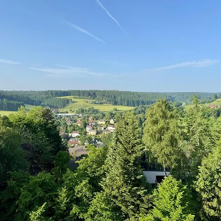 Appartement Moderne Loft Im Schwarzwald Mit Pool Und Sauna